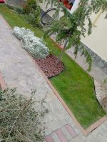 GAZON NATURAL - RULOURI - imagine 5