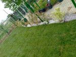 GAZON NATURAL - RULOURI - imagine 6