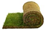 GAZON NATURAL - RULOURI